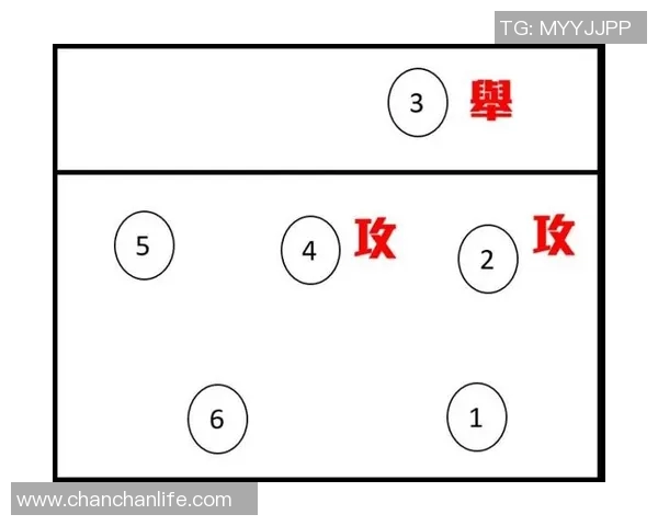 广州排球队节奏对比深度解析与战术探讨