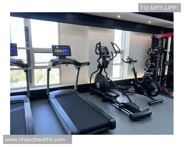 有氧健身器材对比评测及适用人群推荐