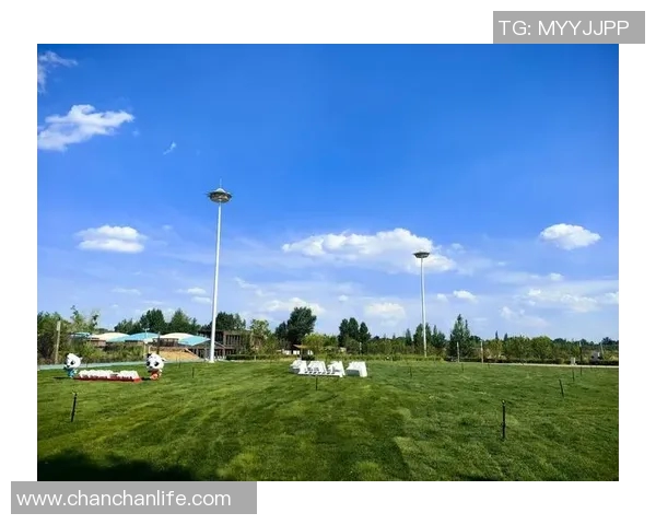 步行者的探索之旅:从城市街头到自然步道的心灵与身体双重体验 步行者的探索之旅:从城市街头到自然步道的心灵与身体双重体验