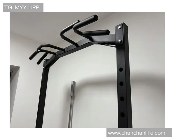 自由健身器材适合打造个性化家庭健身空间吗